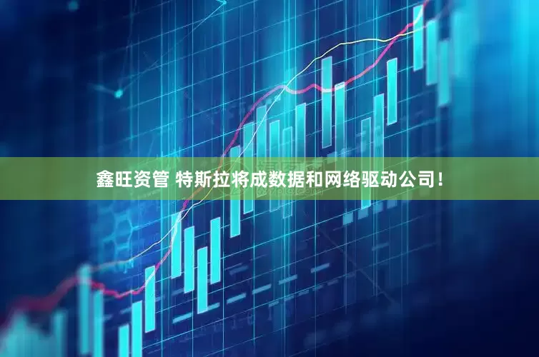 鑫旺资管 特斯拉将成数据和网络驱动公司！