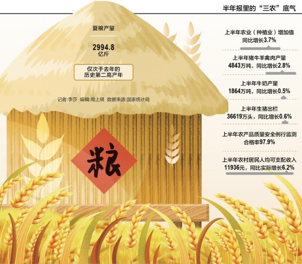 美港通证券 农业“半年报”：夏粮丰收秋粮稳 肉牛扭亏猪连盈