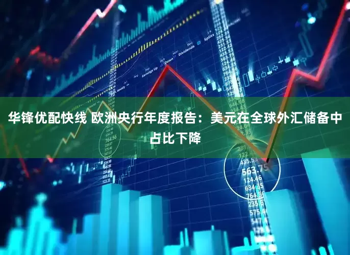华锋优配快线 欧洲央行年度报告：美元在全球外汇储备中占比下降